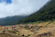 Ribuan Pendaki Ilegal Diturunkan dari Gunung Gede-Pangrango: Ketika Hobi Bertualang Menabrak Aturan Alam