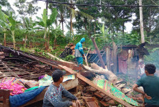 Hujan Disertai Angin Kencang, Satu Rumah Warga di Pemerihan Hancur Tertimpa Pohon Tumbang