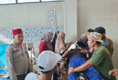 Korban Terkaman Harimau Jalani Perawatan di RSUDAU