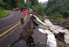 Tergerus Banjir Way Laay, Jalan Liwa-Krui Nyaris Putus 