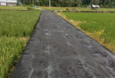 Pembangunan Jalan Lingkar di Pekon Pahungan Selesai