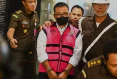 Kasus Korupsi Minyak Mentah: Akankah Riza Chalid Kembali Lolos dari Jerat Hukum?