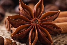 Manfaat Kesehatan Bunga Lawang (Star Anise)