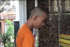 Mahasiswa PTS Diduga Setubuhi Anak