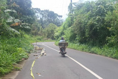 Jalan Liwa–BTS Sumsel  Kini Aman Dilalui Kendaraan
