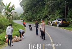 Penemuan Jenazah Tergeletak di Pinggir Jalan Nasional Batuketulis Gegerkan Warga