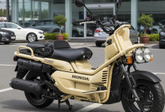 Honda PS250, Skutik Unik Bertangki Besar yang Siap Dibawa Touring Jarak Jauh