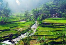 Malasari, Surga yang  Tersembunyi di Kaki Halimun