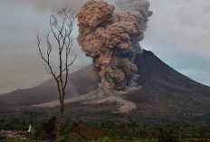 Abu Vulkanik Gunung Dukono Ancam Halmahera, 80.000 Masker Dibagikan
