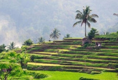 Pariangan, Harmoni Alam dan  Warisan Budaya di Lereng Marapi