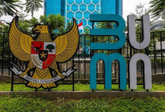 Kementerian BUMN Dihapus, Jabatan Tiko Ikut Berakhir
