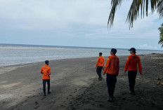 Sistem Deteksi Dini Tsunami Nasional Terbukti Efektif Respons Gempa Laut Filipina