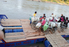 Perahu Drum Ratal Jadi Andalan  Warga Menyeberang Way Semangka