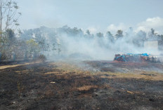 Diduga Akibat Puntung Rokok, Sekitar 8 Hektare Lahan Pengolahan Sabut Kelapa di Pesisir Barat Terbakar