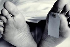 Siswa SMPN 26 Palembang Ditemukan Tewas di Parit Sekolah