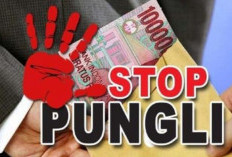 Jadi Biang Kerok PHK, Ini Daftar Wilayah Indonesia Sarang Preman Palak Investor 
