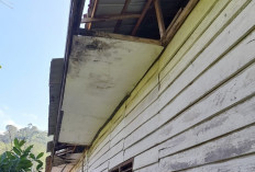 Gedung SDN 3 Karangagung Memprihatinkan