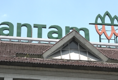 Antam Bagikan Dividen Rp3.6 Triliun, Setara 100% Laba 2024