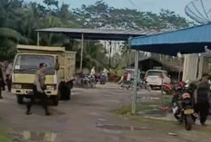 Polisi Gerebek Arena Judi Sabung Ayam di Rumah Anggota DPRD Asahan