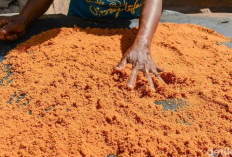 Gula Semut Produksi Petani Indonesia Tembus Pasar Malaysia dan Kanada