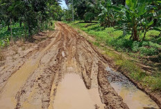 Masih Belum Tersentuh, Warga Bumi Ratu Kembali Berharap Pembangunan Jalan Poros