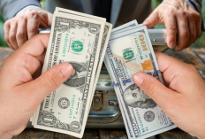 Utang Luar Negeri RI Turun di Februari 2025, Sinyal Positif bagi Stabilitas Ekonomi