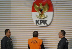 Tingkat Korupsi Tertinggi di Indonesia pada 2024: Daftar Wilayah dengan Kasus Korupsi Terbanyak