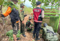 Polres-Tim Gabungan Perkuat Penanganan Konflik Satwa Liar