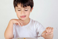 Tips Mengatasi Picky Eater pada Anak dan Meningkatkan Nafsu Makan Mereka