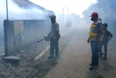 DBD Terus Mewabah, Puskesmas Sukau Lakukan Fogging di Pekon Tanjungraya