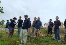 Sambangi Pesbar, Tim KKP Survei Lokasi Rencana  Pembangunan Kampung Nelayan 