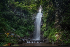 10 Destinasi Wisata Trawas yang Wajib Dikunjungi