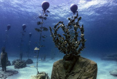 Ilmuwan Ungkap Fenomena Marine Darkwaves, Laut Bisa Gelap dan Ancam Ekosistem