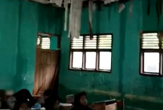 Miris!!! Siswa SD di Pesisir Barat Belajar Dengan Kondisi Atap Bocor