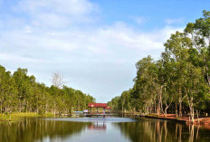 Taman Nasional Wasur, Pesona Alam Kontras di Timur Indonesia