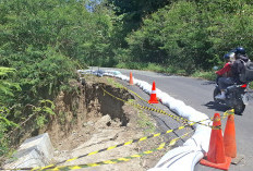 Selain Pasangi Rambu-rambu, Dinas BMBK Tangani Sementara Jalan Longsor Ruas Liwa- Ranau