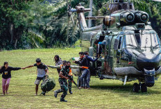  Penembakan Biadab di Papua, 6 Guru dan Tenaga Kesehatan Tewas Diteror KKB