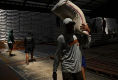 Swasta Kuasai 92 Persen Stok Beras, Bulog Lakukan Intervensi Pasar Demi Stabilitas Harga