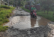 Badan Jalan Jadi Kubangan, Warga Harapkan Perbaikan