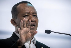 Pemerintah Kuasai Kembali 3,3 Juta Hektar Hutan di Indonesia