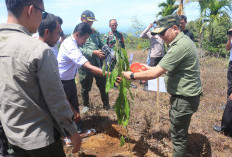 Pemancar dan BB-TNBBS  Teken Komitmen Konservasi, Tanam 10 Ribu Pohon 