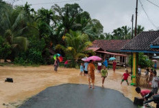 Way Pardasuka Meluap, Puluhan Rumah di Dua Pekon Sempat Terdampak Banjir