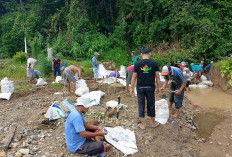 Warga di Lima Pekon Harapkan Perbaikan Irigasi Way Laay yang Jebol