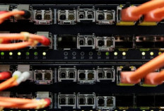 Mantan Karyawan Hapus 180 Server Milik Perusahaan, Rugikan Rp15 Miliar