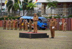 Pj Gubernur Samsudin Dorong Aparatur Pemprov Lampung Aktif Sosialisasikan IKD