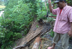 Longsor Mengancam Pemukiman, Warga Bumi Jaya Tagih Janji Pemkab Lampung Barat