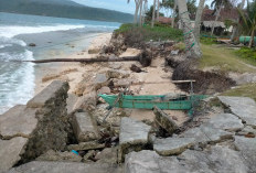 Abrasi Masih Ancam Pantai di Pulau Pisang