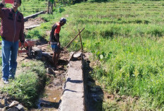 Maksimalkan Pembangunan Jalan Usaha Tani Melalui Dana Desa