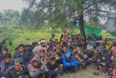 Dua Warga Aceh Ditangkap Saat Coba Selundupkan Imigran Rohingya, Janji Dapat Rp 300.000