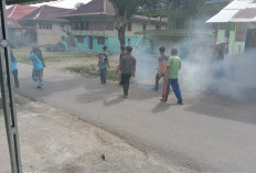 Dinkes Ajak Cegah DBD dengan PSN 3M Plus